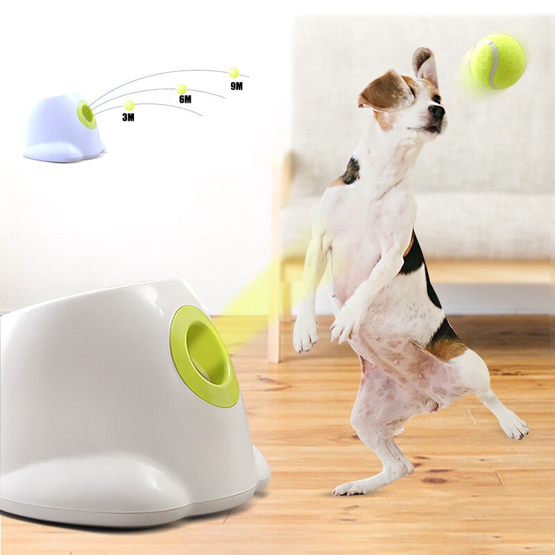 Automatic Dog Ball Launcher – Endless Fetch, No Human Needed