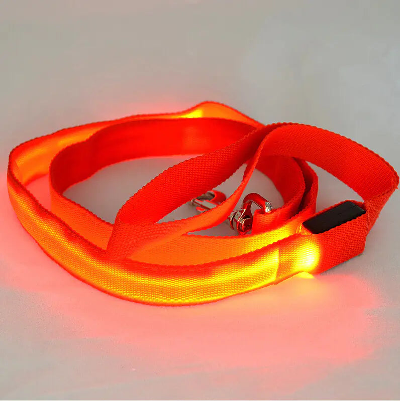LED Safety Dog Leash – Light-Up for Night Walks