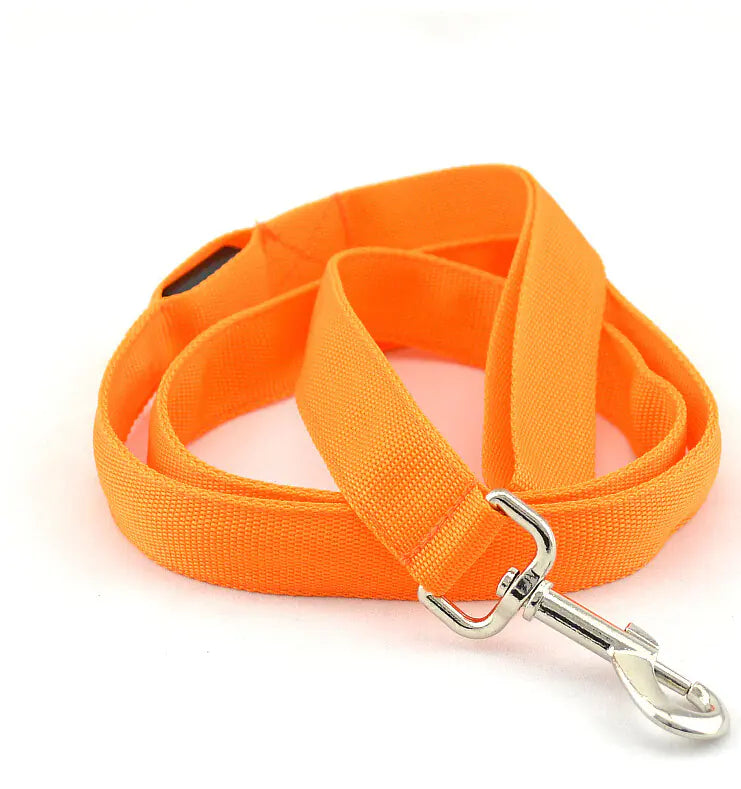 LED Safety Dog Leash – Light-Up for Night Walks