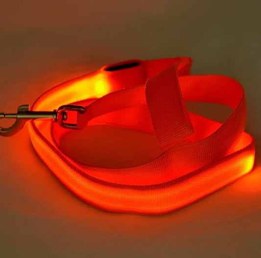 LED Safety Dog Leash – Light-Up for Night Walks