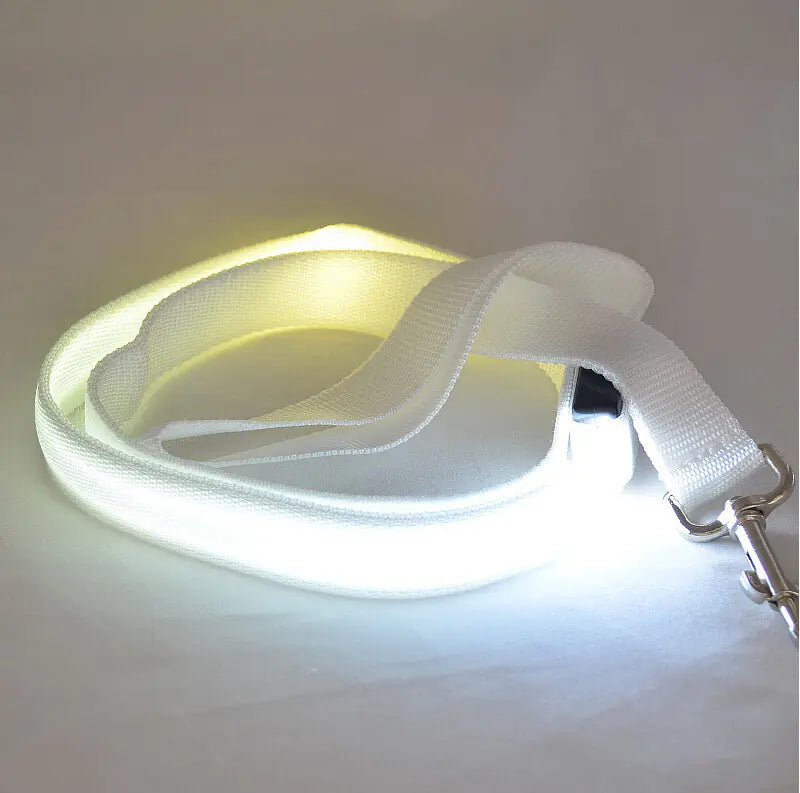 LED Safety Dog Leash – Light-Up for Night Walks